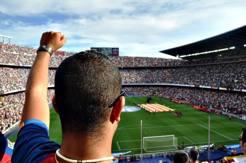Still Here, Still Hurting: The Strange Science of Staying Loyal to a Team That Keeps Breaking Your Heart